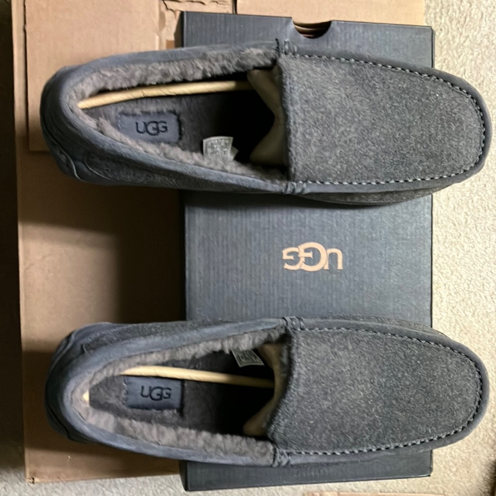 Ugg mens slippers